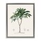 Stupell Industries Coastal Palms Vintage Floating Frame, design by Val Rhodes